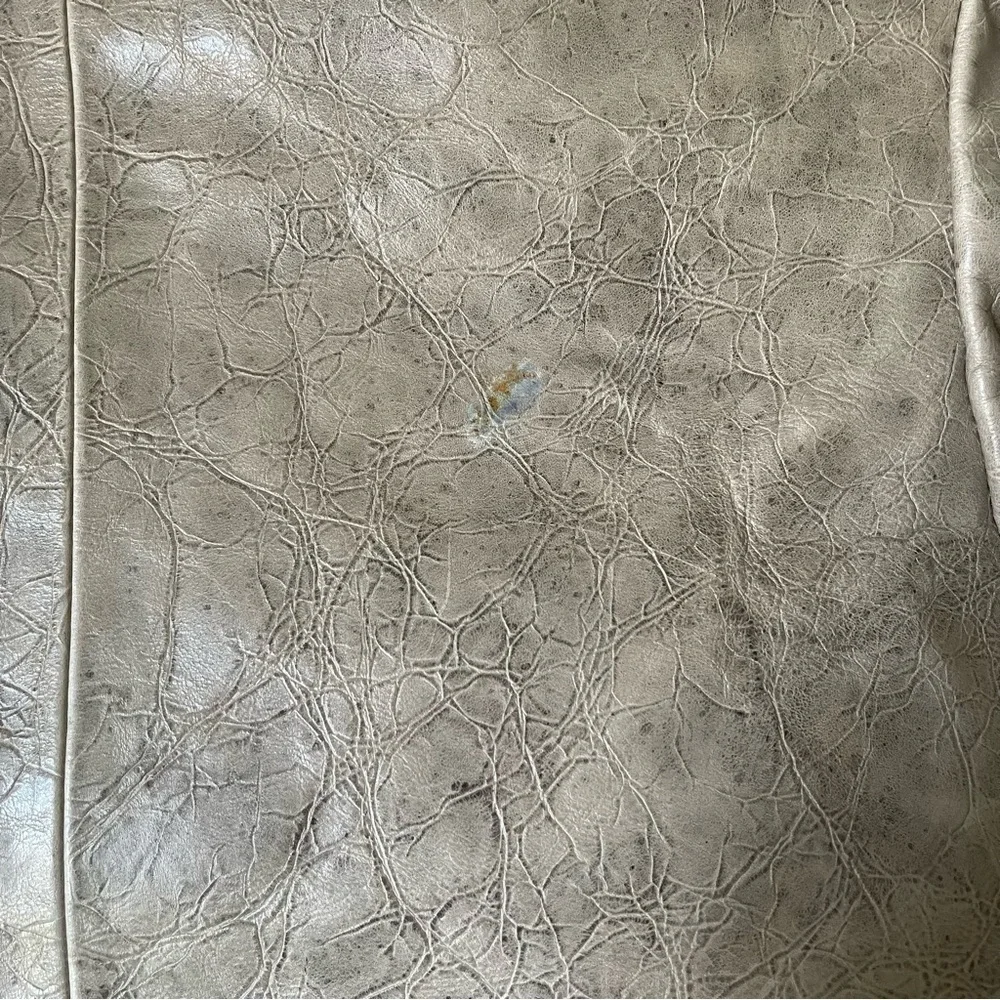 Large Charles David Hobo Bag